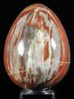Colorful, Polished Petrified Wood Egg - Triassic #58522-1